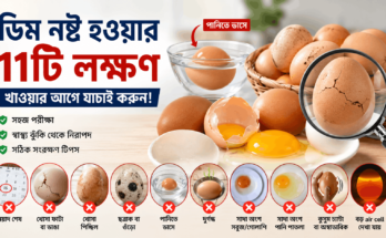 ডিম নষ্ট হওয়ার লক্ষণ পরীক্ষা করছেন—পানিতে ভাসা ডিম, ফাটা খোসা ও ভাঙা ডিমের কুসুম
