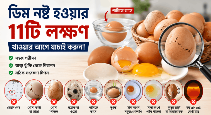 ডিম নষ্ট হওয়ার লক্ষণ পরীক্ষা করছেন—পানিতে ভাসা ডিম, ফাটা খোসা ও ভাঙা ডিমের কুসুম